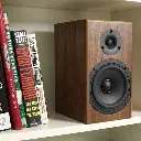 TOTEM LOON 2.webp