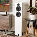 bison twin tower 3.webp