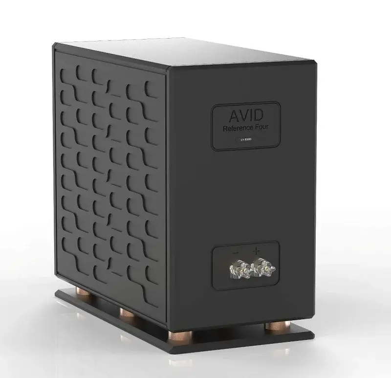 avid reference 4 2.webp