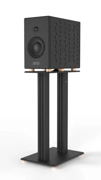 avid reference 4 4.webp