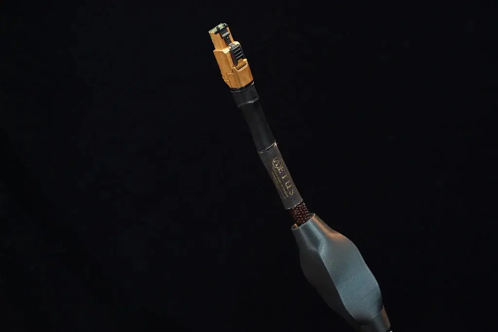 aetus fire 3.webp