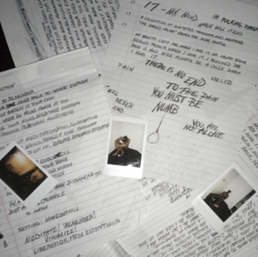 XXXTentacion – 17 黑白雲石彩膠 LP｜